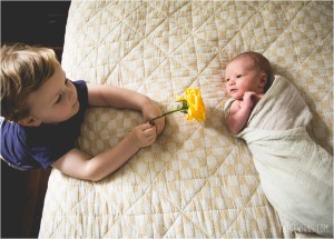 big brother gives newborn a yellow rose flower
