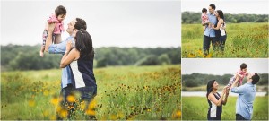family of three in field of flowers brushy creek photographer