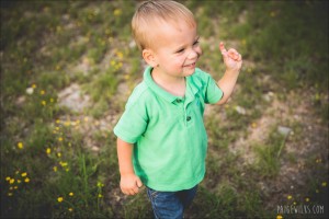 toddler in flowers dripping springs family session