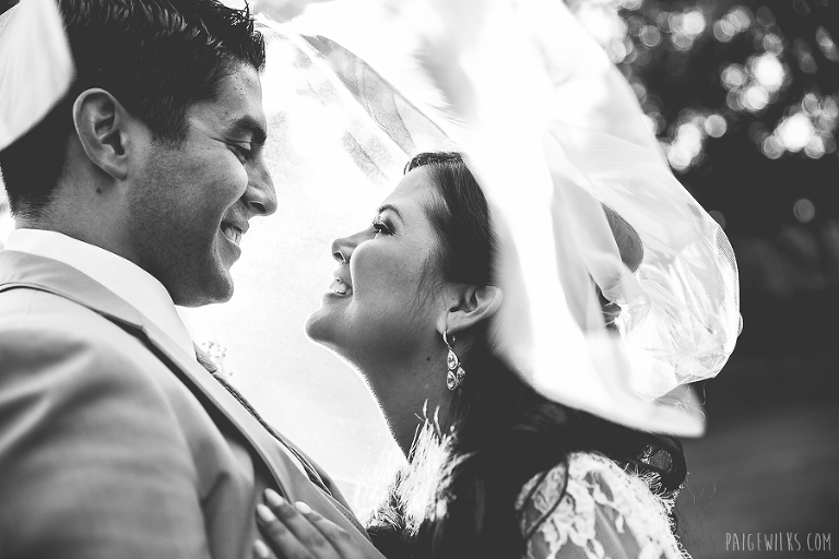 paigewilks.com.austin area photographer weddings children fine art birth photography-4