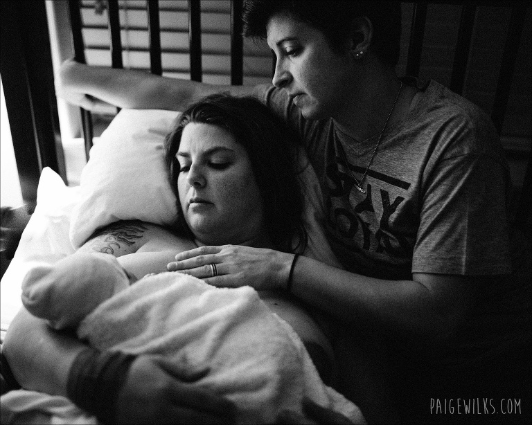 family portrait birth photos austin newborn
