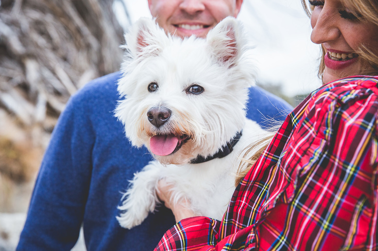 wimberley pet portraits